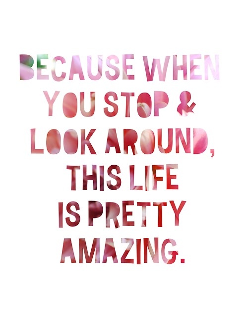 Monday Motivation from Go4ProPhotos.com "Because When you stop & Look Around, this life is pretty amazing"