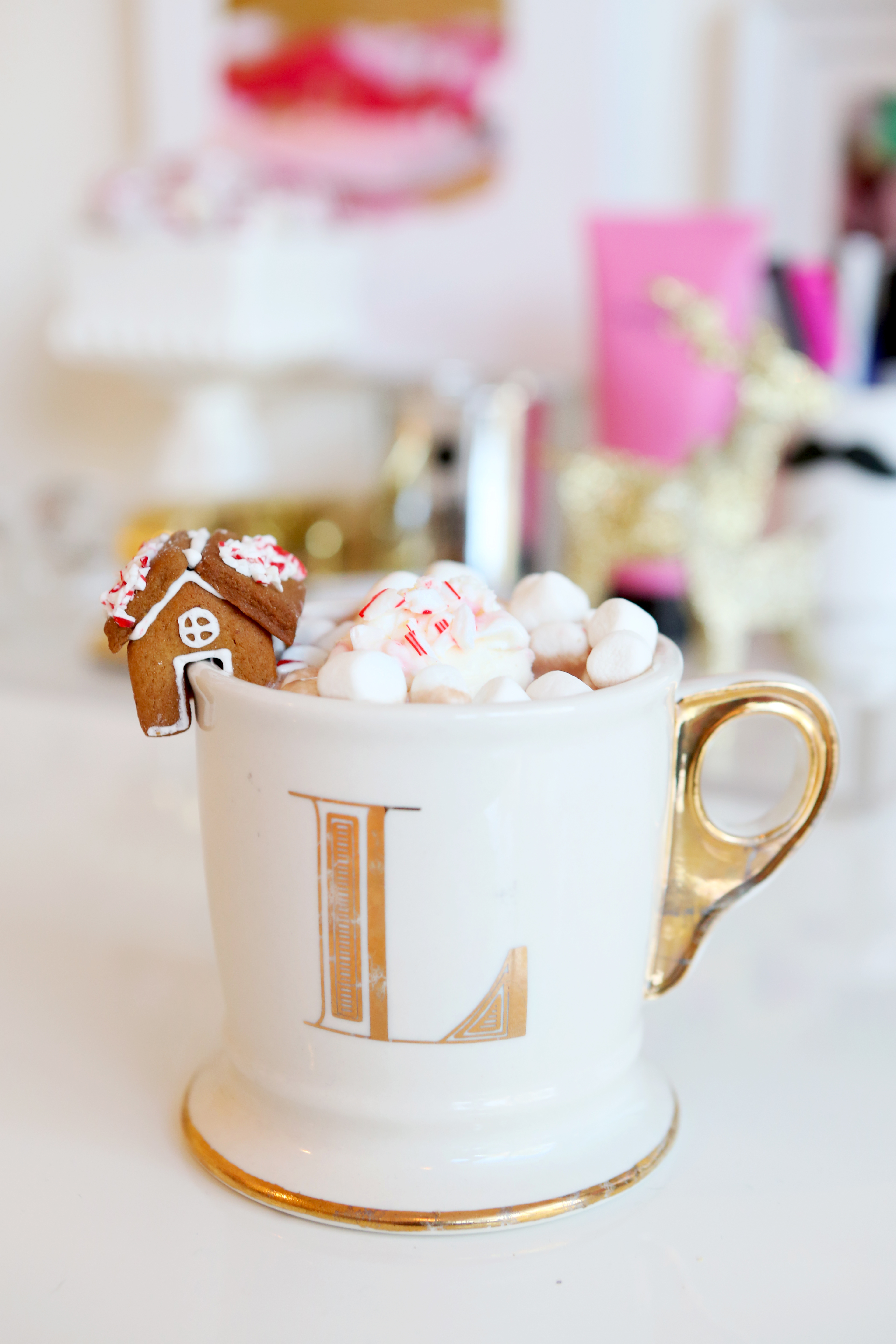 Hot Chocolate Anthro Style_Mini Ginerbread House4